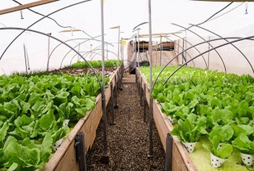 احداث گلخانه یک هزار هکتاری و شهرک شیلاتی 50 هکتاری در پایاب سدحاجیلارچای 