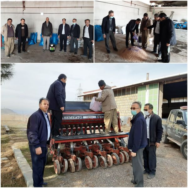 بازدید کارشناسان زراعت جهاد کشاورزی از عملیات کاربرد بذرمال و ضد عفونی بذور نخود و علوفه دیم
