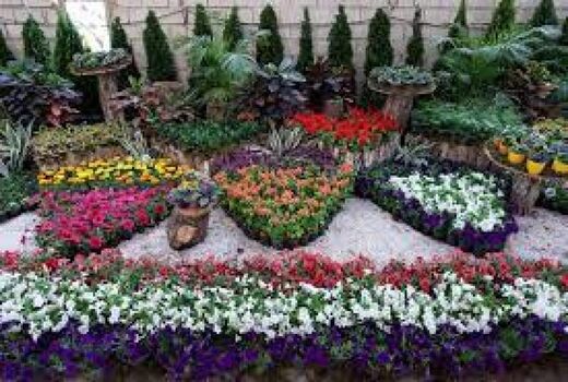 برگزاری نمایشگاه گل و گیاه 10 الی 15 خرداد ماه شهرستان سیرجان