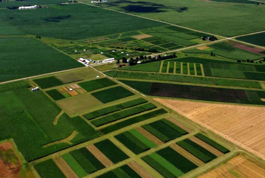 رونق سرمایه‌گذاری در کهگیلویه و بویراحمد با ۴۱ قرارداد اجاره واگذاری