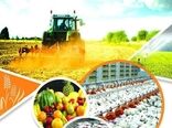 سهم 33 درصدی کشاورزی در اشتغال استان زنجان