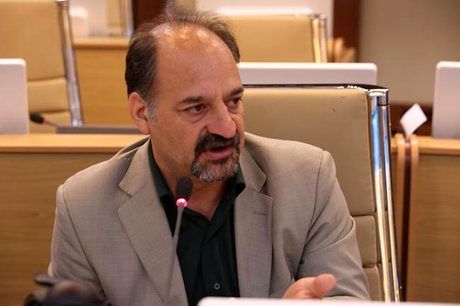 انتقاد معاون سازمان محیط زیست از عملکرد شوراها