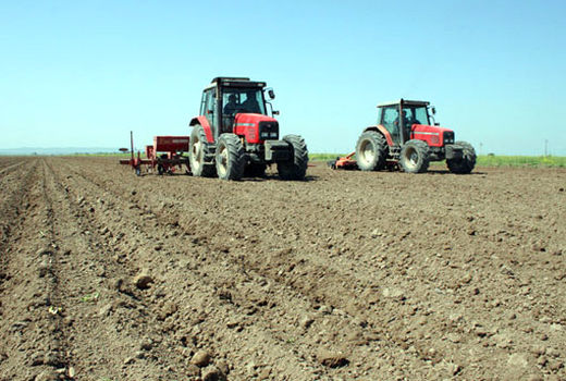 ۱۵ پایگاه نوآورانه کشت دیم در کشور ایجاد شد
