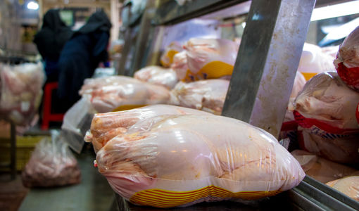 گوشت مرغ رکورد ۹۷ درصدی بازار طیور را حفظ کرد