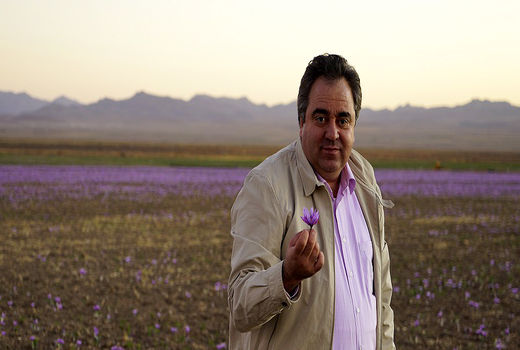 اگر حمایت نشود اسپانیا بازار زعفران را می‌گیرد