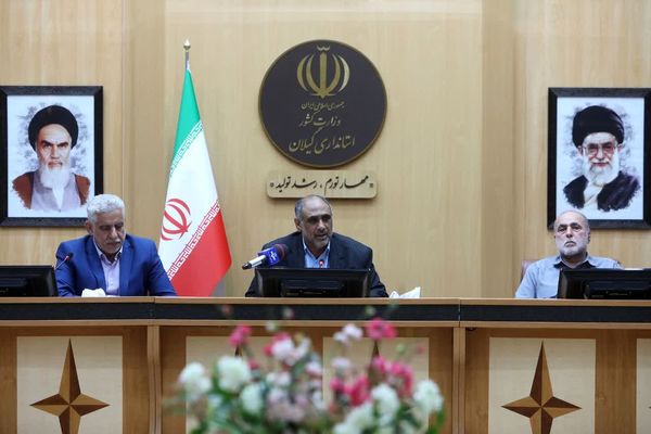 آغاز خرید برنج " هاشمی" و "طارم" توسط زنجیره‌ها و بازرگانان در هفته آینده