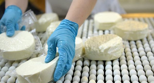 گرانی مصرف لبنیات را ۲۰ درصد کاهش داد