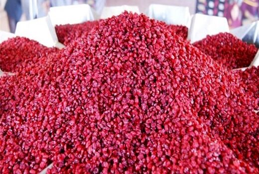 فرآوری ۴۳ درصد زرشک خراسان جنوبی 
