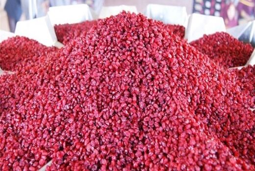فرآوری ۴۳ درصد زرشک خراسان جنوبی 
