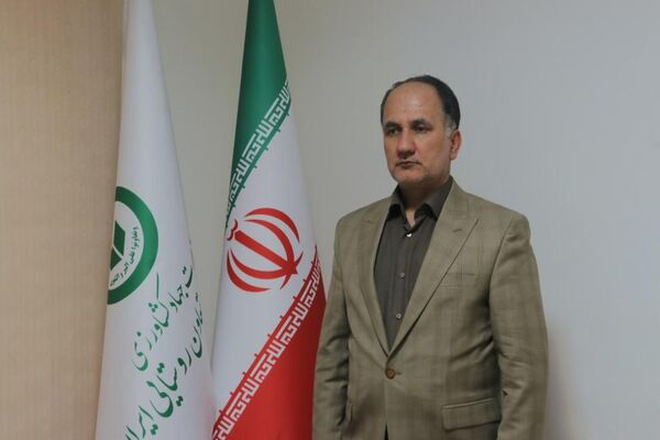 خرید مباشری چهار میلیون و 527 هزار تن گندم از ابتدای سال 1401 تا کنون
