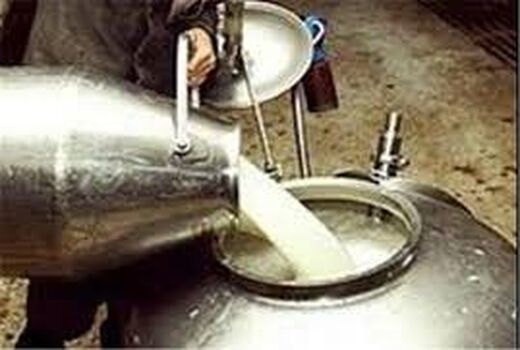 افزایش 5 درصدی میزان تولید شیر در خراسان شمالی