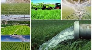 ۱۶۵ طرح‌ مختلف جهاد کشاورزی آماده‌ بهره برداری