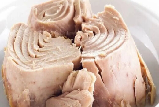 امکان ثبت سفارش واردات ماهی تون آغاز شد