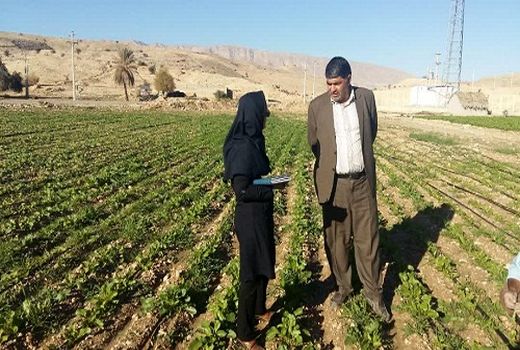 پرداخت کمک‌های بلاعوض به مجریان آبیاری نوین در قیروکارزین