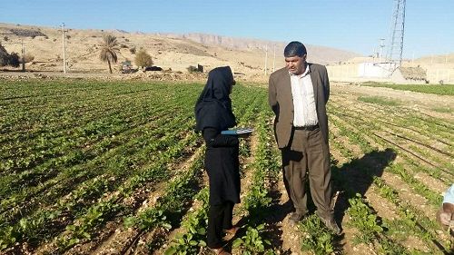 پرداخت کمک‌های بلاعوض به مجریان آبیاری نوین در قیروکارزین