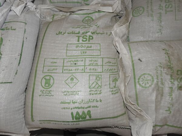 تأمین و توزیع 871 تن کود TSP در استان البرز