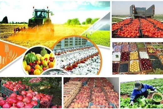 برگزاری جلسه هم اندیشی بررسی و رفع موانع تولید صنایع تبدیلی و تکمیلی بخش کشاورزی