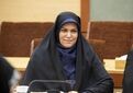 جشنوار ملی انگور بستری برای توسعه گردشگری کشاورزی در ملکان و لیلان است
