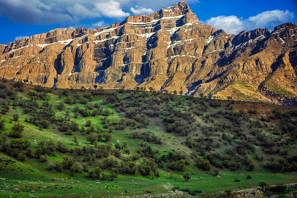 میراث زاگرس رو به نابودی است