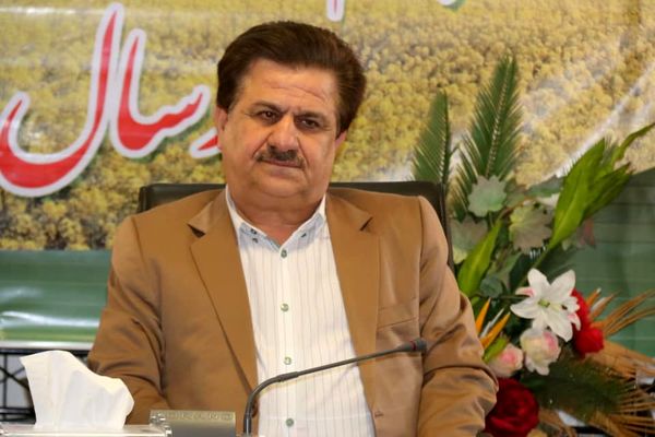 کشت کلزا کاری بی‌نظیر از نظر کمی و کیفی در استان خوزستان