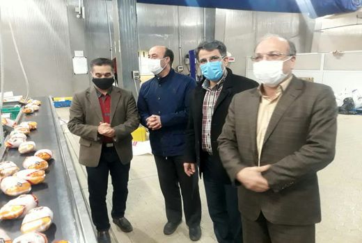 ماهانه 1500 تن گوشت مرغ مازاد بر مصرف در استان از تولید 4500 تن تولید گوشت مرغ