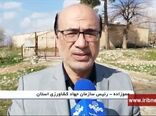 آغاز اجرای طرح خرید مرغ مازاد مرغداران در ایلام