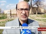 آغاز اجرای طرح خرید مرغ مازاد مرغداران در ایلام