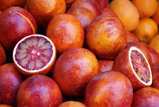 چهار رقم جدید محصولات باغی و زراعی معرفی شد