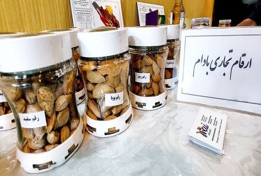 تکمیل زنجیره تولید بادام و پرورش ماهیان سردابی در چهارمحال و بختیاری