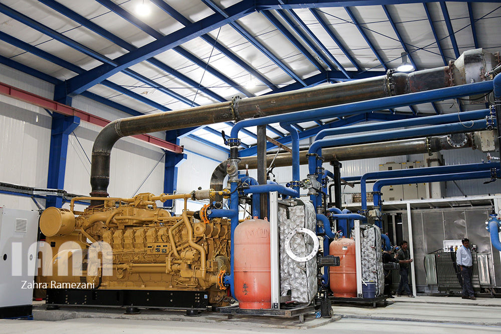 گلخانه شهاب گل خمین 