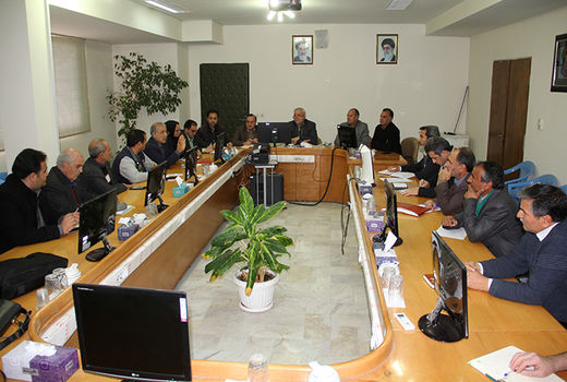 تولید 952 هزار اصله نهال در 8 نهالستان مجاز