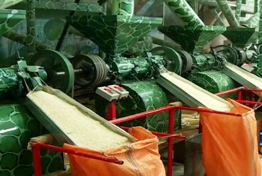 ساخت شالیکوبی مدرن در دستور کار قرار دارد