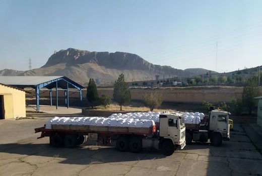 توزیع سه  هزار و 518 تن کود شیمیایی در چهارمحال و بختیاری