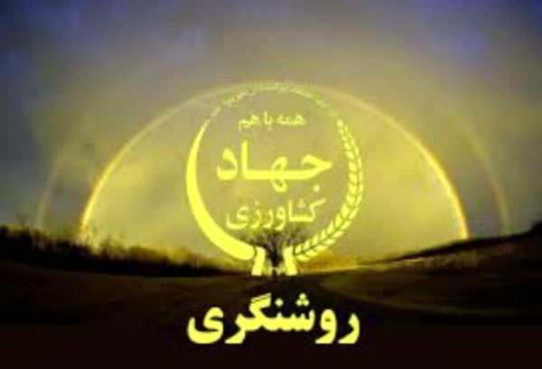 چغندرقند قربانی نادرستترین قضاوتها
