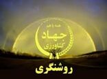  چغندرقند قربانی نادرست‌ترین قضاوت‌ها
