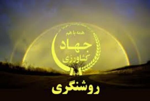  چغندرقند قربانی نادرست‌ترین قضاوت‌ها