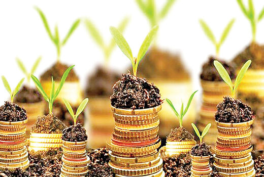 شفاف‌سازی فرایندها اولویت صندوق بیمه کشاورزی است