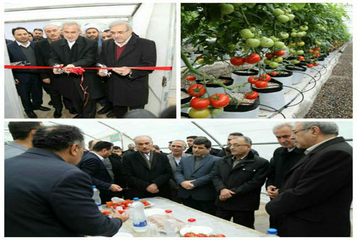 سه طرح سرمایه‌گذاری بخش کشاورزی در منطقه آزاد ارس به بهره‌برداری رسید