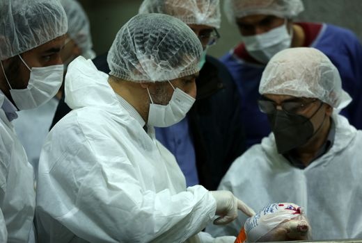 بازدید سرزده معاون وزیر و رئیس سازمان دامپزشکی کشور از کشتارگاه طیور