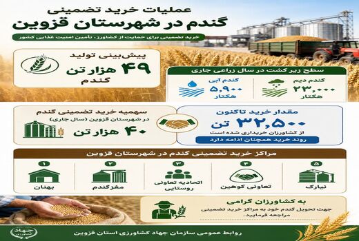 اینفوگرافی | عملیات خرید تضمینی گندم در شهرستان قزوین
