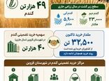 اینفوگرافی | عملیات خرید تضمینی گندم در شهرستان قزوین
