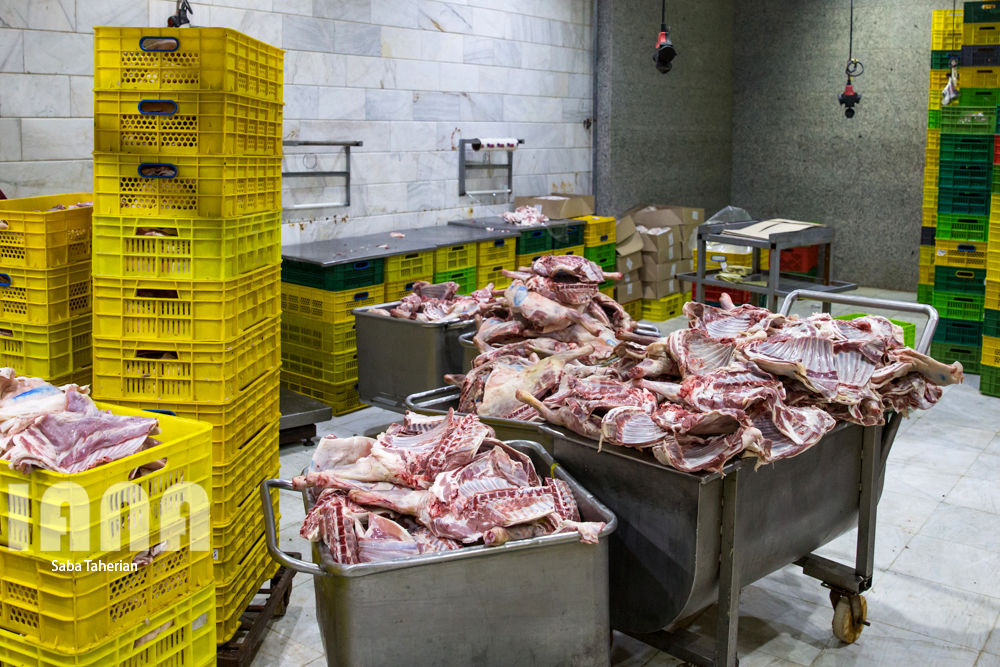 بسته‌بندی محصولات پروتئینی