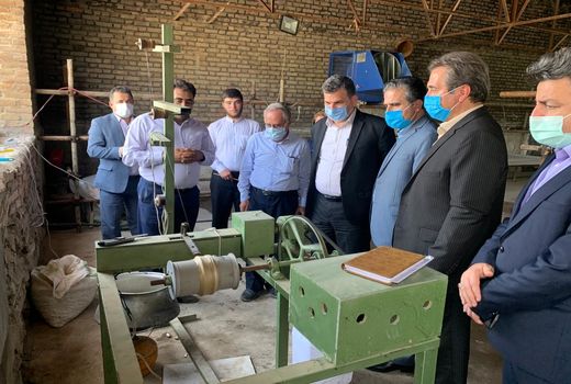 توزیع 46 هزار جعبه تخم نوغان در کشور 