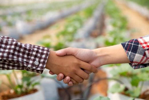 ظرفیت شبکه تعاون نادیده گرفته شده است/ رویکرد وزارت جهاد کشاورزی به تعاونی‌ها