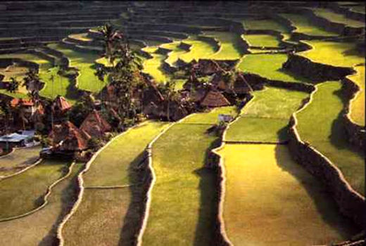 بانکت‌بندی و سکوبندی، کلید مهار رسوب و تضمین عمر سدها
