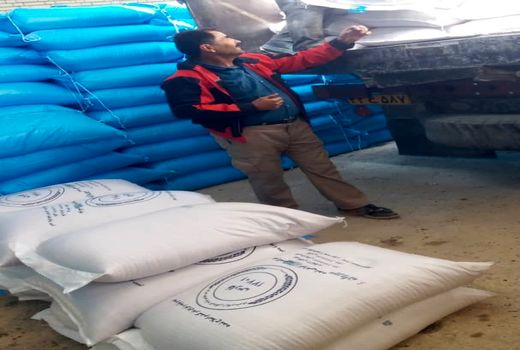 آغاز توزیع بذر گندم در ارسنجان