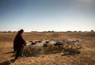 ارائه بیمه‌های خرد برای کمک به کشاورزان اتیوپی در برابر خشکسالی