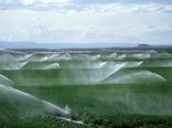 اجرای آبیاری نوین در 5000 هکتار از اراضی همدان در سال جاری/ بودجه‌ای که یخ‌ها را آب نمی‌کند!