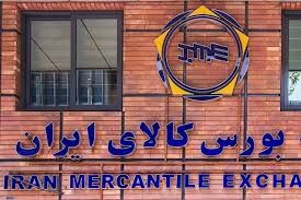 کشف قیمت واقعی با عرضه گندم خوراکی در بورس کالا