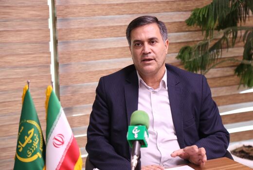 واردات ۹۵ میلیون عدد تخم مرغ نطفه‌دار برای تامین نیاز بازار 